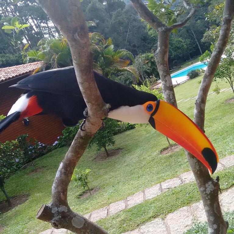 Pousada Tucano Do Cuiabá Itaipava Esterno foto
