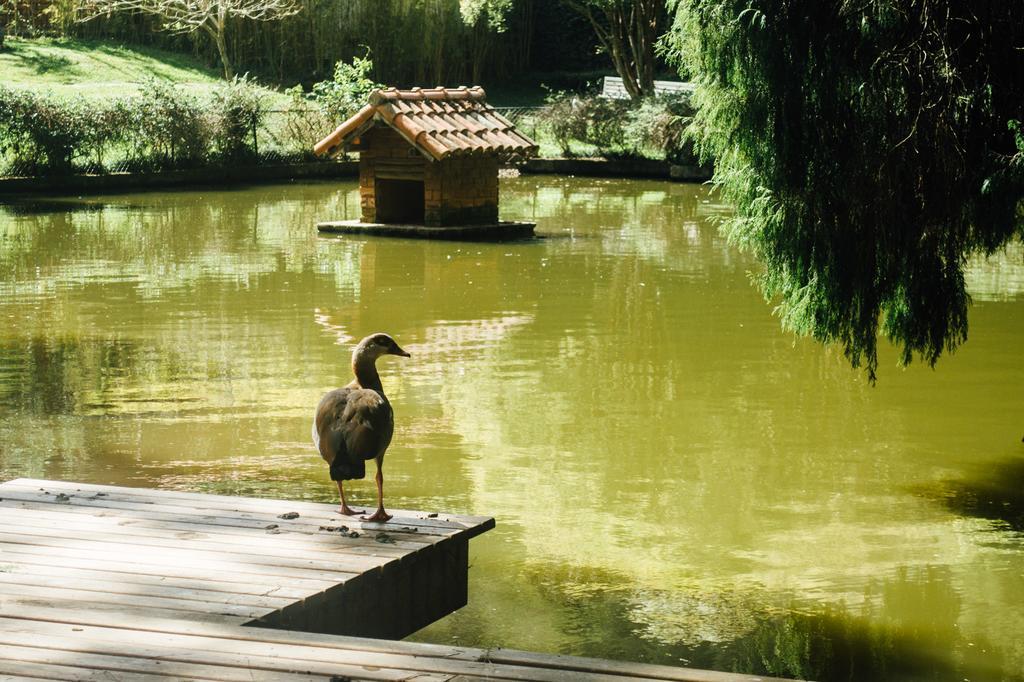Pousada Tucano Do Cuiabá Itaipava Esterno foto
